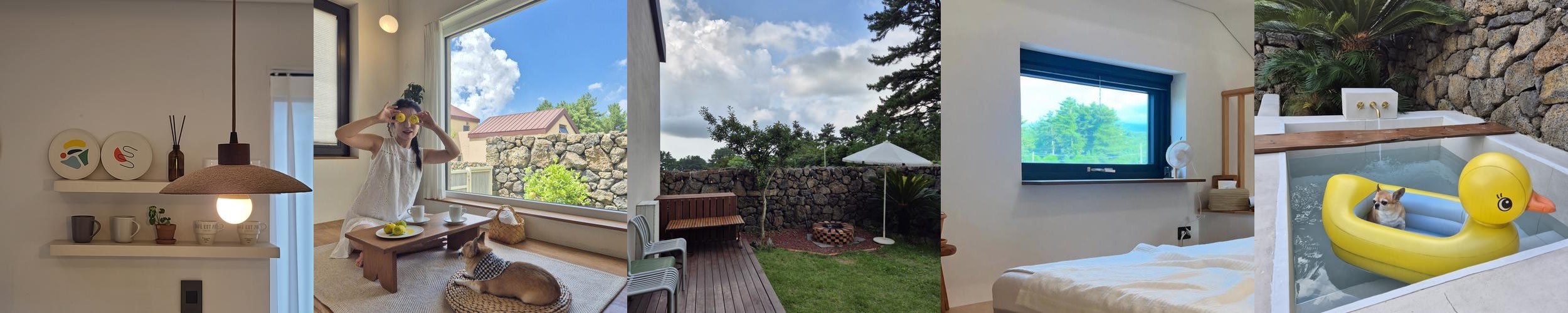 제주도 애견동반 숙소 베스트 추천 리스트 TOP 10