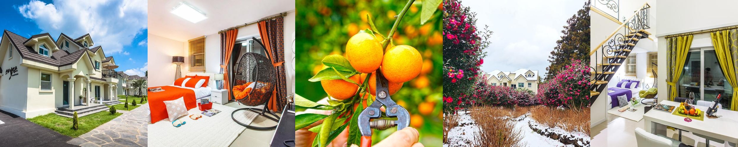 제주도 애견동반 숙소 베스트 추천 리스트 TOP 10