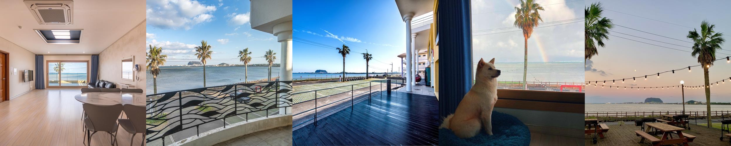 제주 애견동반 숙소 베스트 추천 리스트 TOP 10