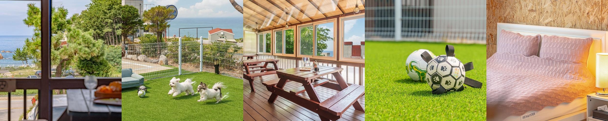 강원도 애견동반 숙소 베스트 추천 리스트 TOP 10