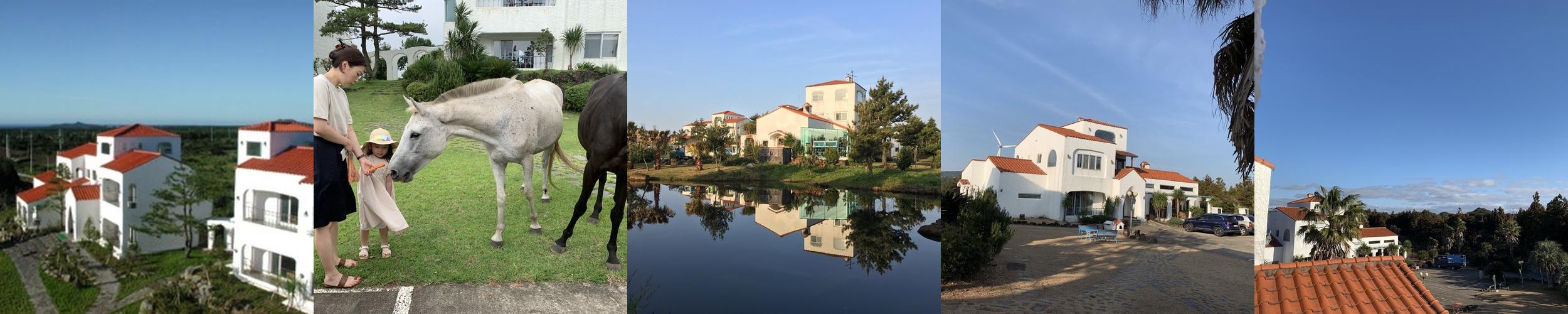 제주 성산 숙소 베스트 추천 리스트 TOP 10