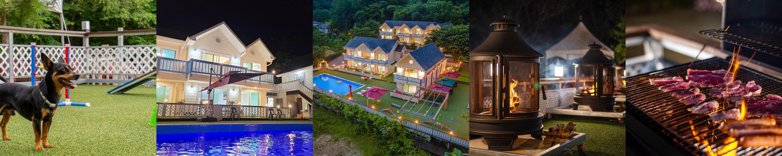 강원도 애견동반 펜션 베스트 추천 리스트 TOP 10