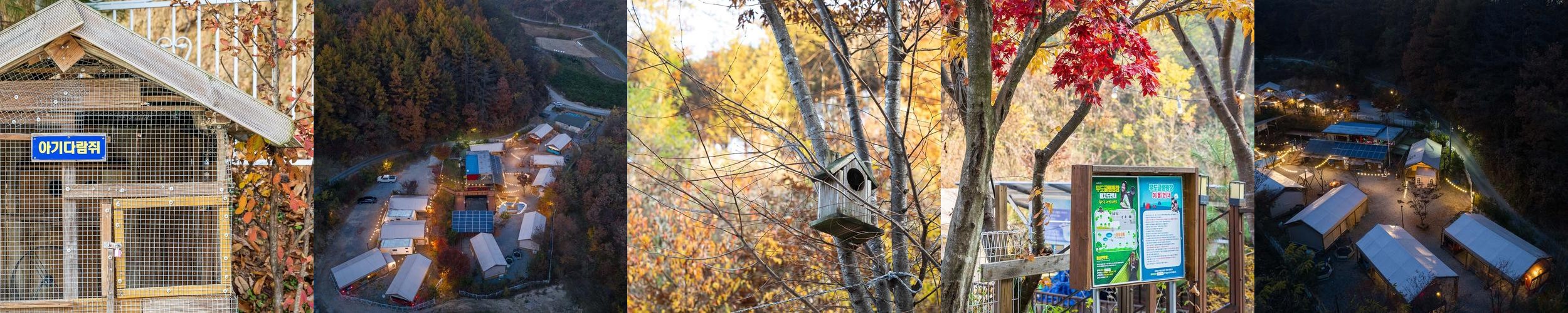 원주 글램핑 베스트 추천 리스트 TOP 10 원주 글램핑 베스트 추천 리스트 TOP 10
