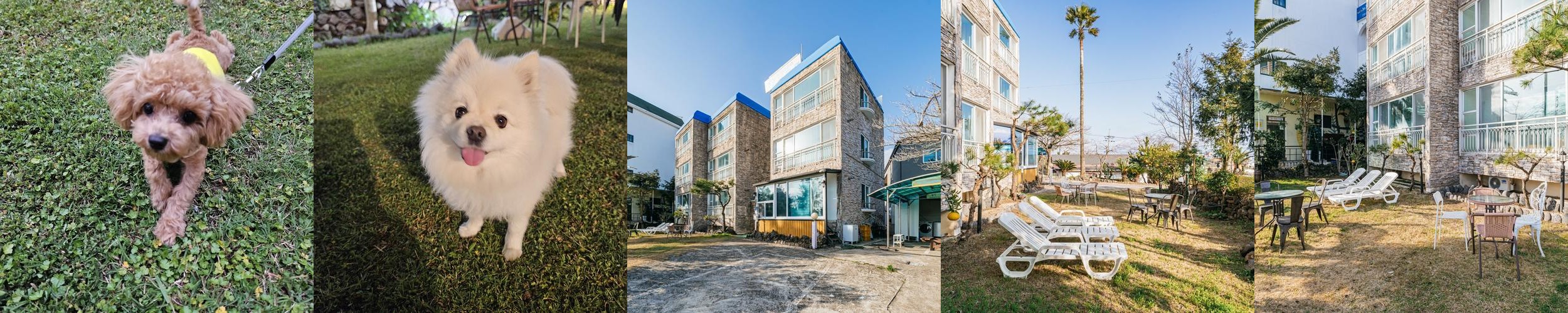 제주 중문 숙소 베스트 추천 리스트 TOP 10