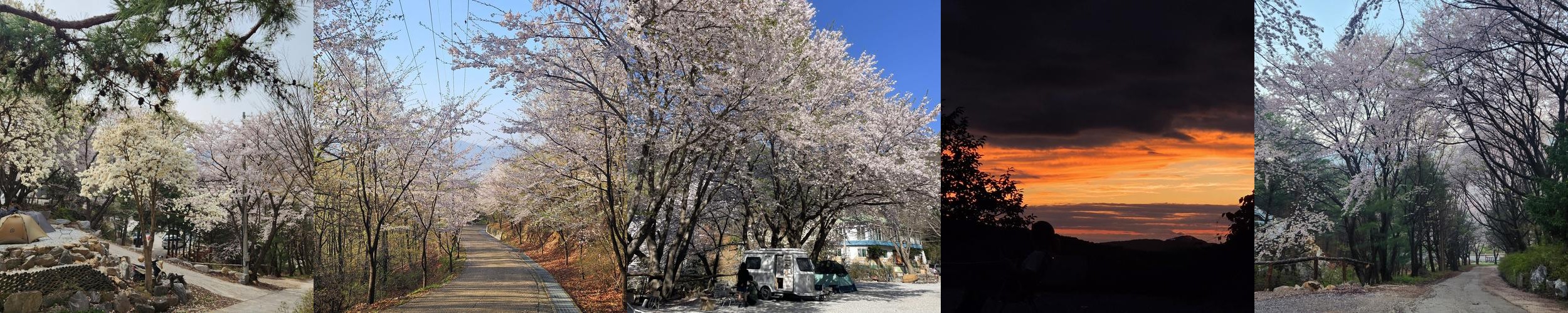 강화도 카라반 베스트 추천 리스트 TOP 10