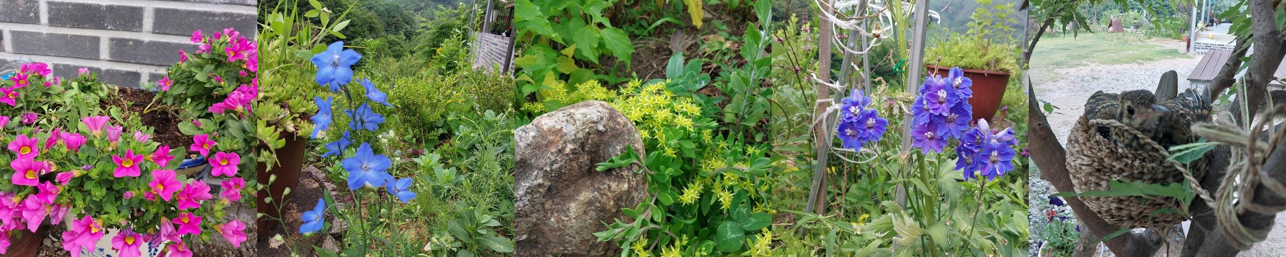 무주 독채 펜션 베스트 추천 리스트 TOP 10