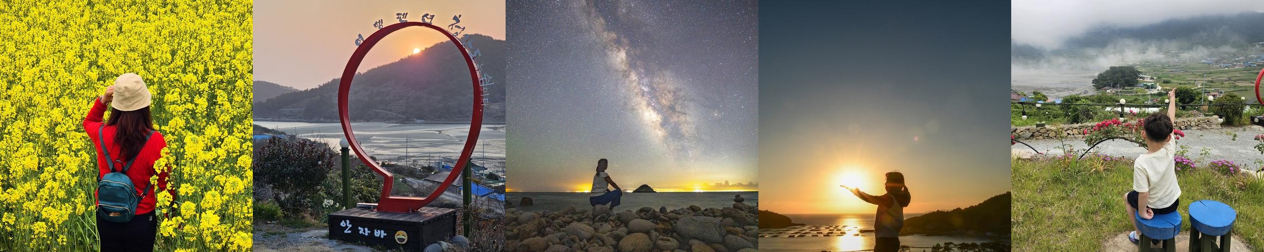 전남 애견동반 펜션 베스트 추천 리스트 TOP 10