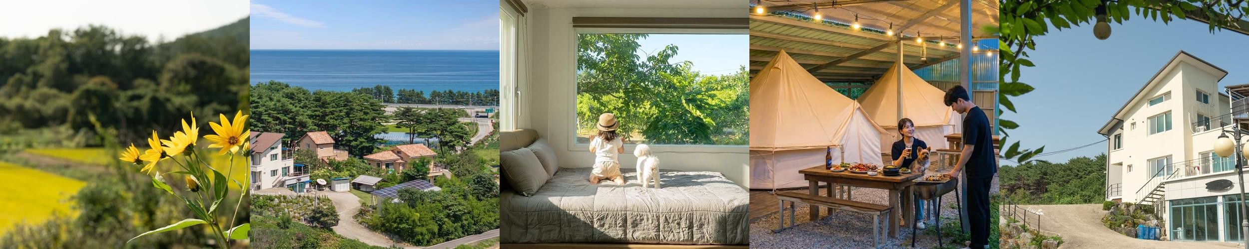 양양 글램핑 베스트 추천 리스트 TOP 10