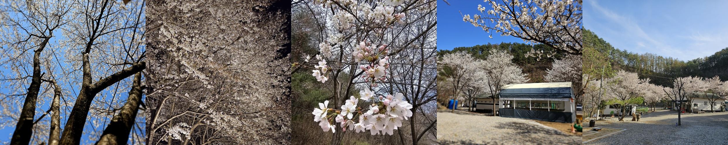 충북 글램핑 베스트 추천 리스트 TOP 10