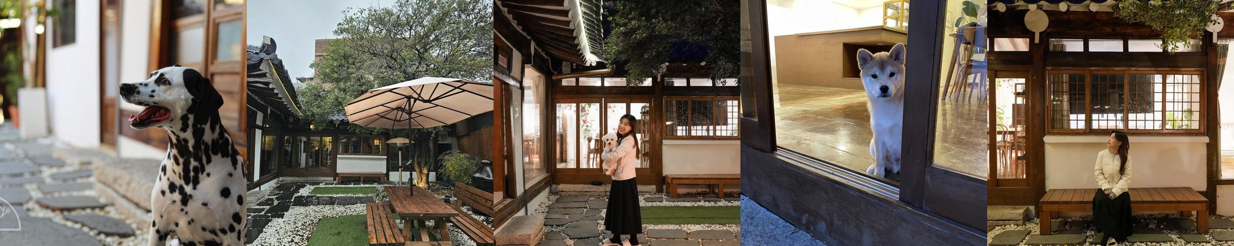 청도 애견동반 펜션 베스트 추천 리스트 TOP 10