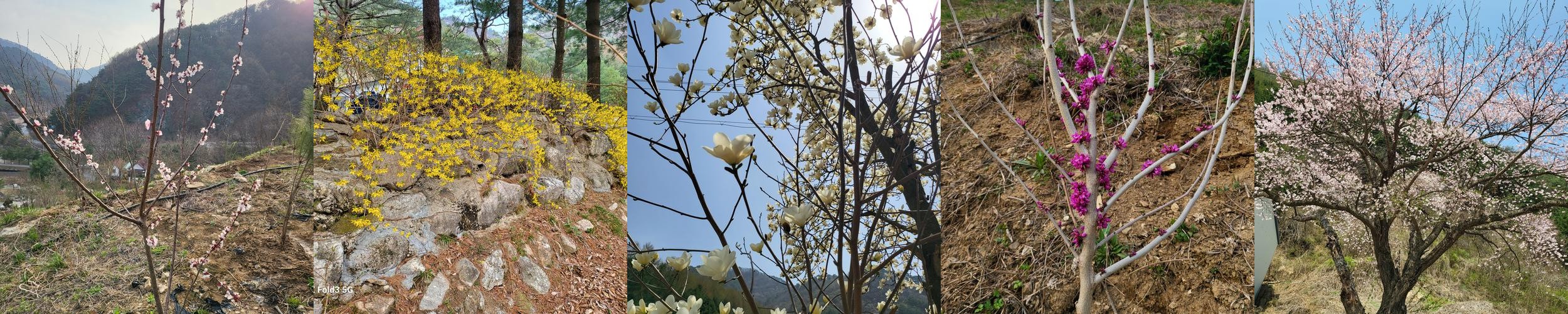 충청도 글램핑 베스트 추천 리스트 TOP 10