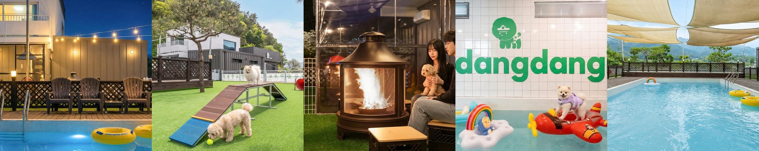 경기도 애견동반 펜션 베스트 추천 리스트 TOP 10