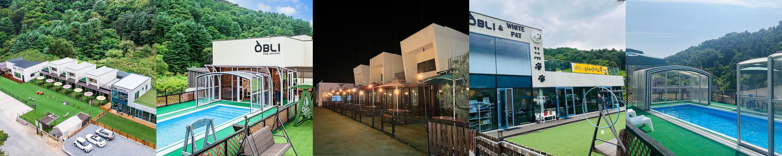 경기도 애견동반 펜션 베스트 추천 리스트 TOP 10