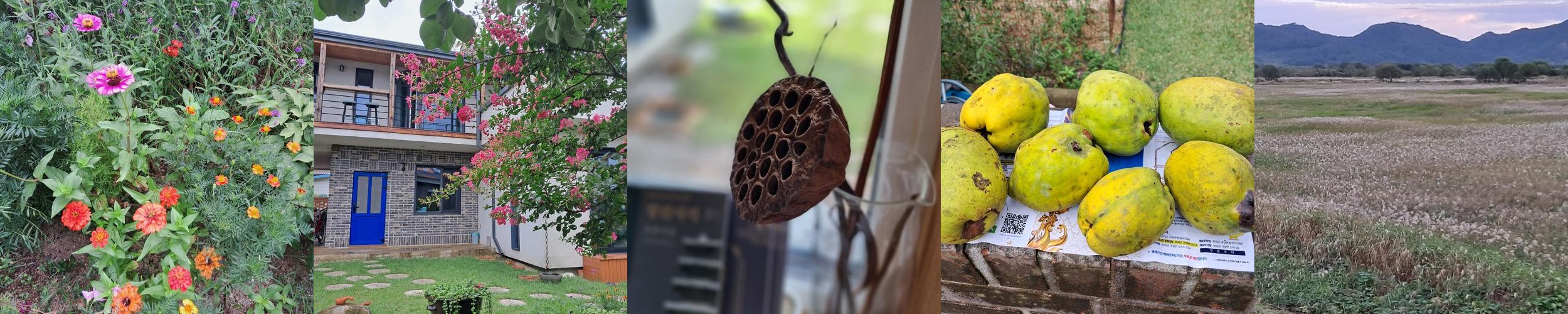 부여 숙소 추천 베스트 리스트 TOP 10