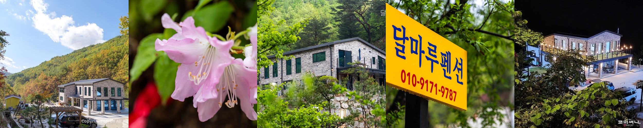 강원도 강릉 숙소 베스트 추천 리스트 TOP 10