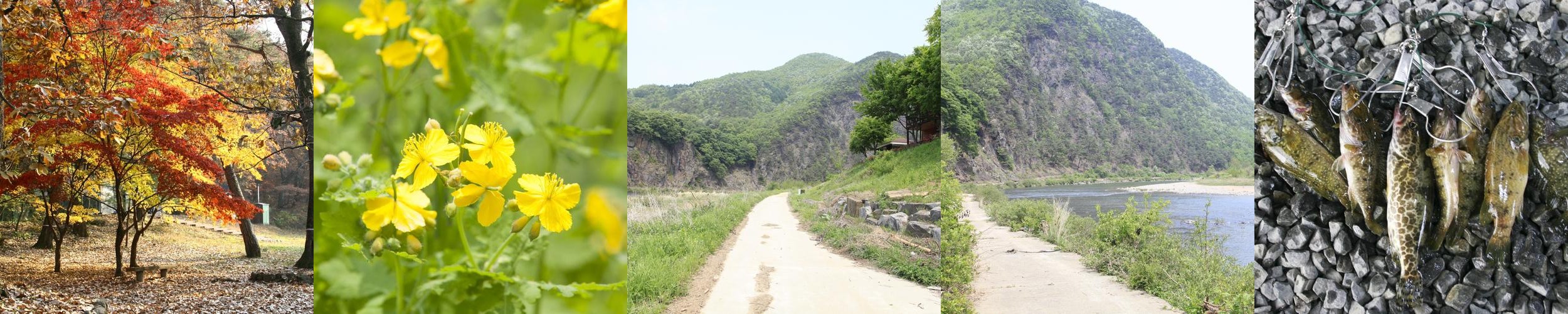 충북 풀빌라 베스트 추천 리스트 TOP 8