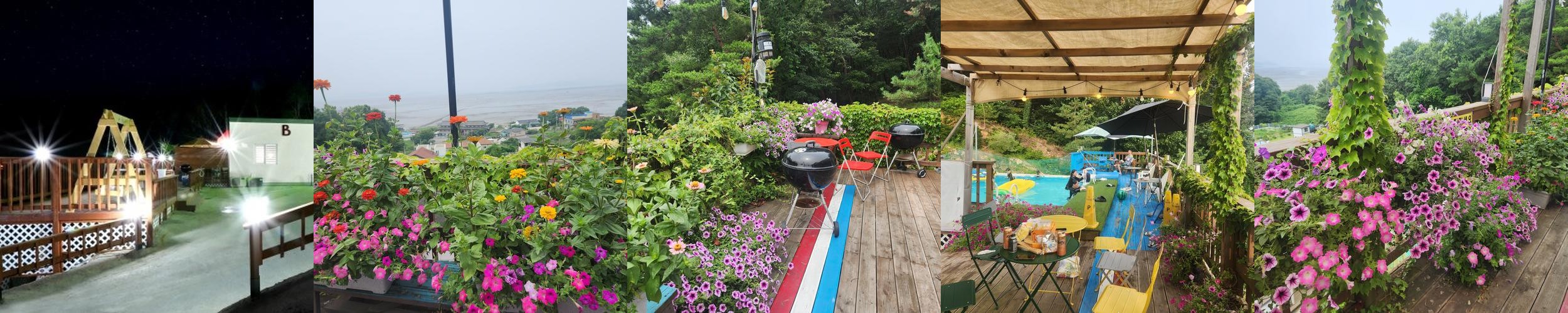 강화 애견동반 펜션 베스트 추천 리스트 TOP 10