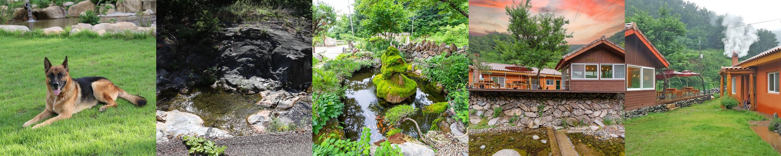 삼척 애견동반 펜션 베스트 추천 리스트 TOP 10