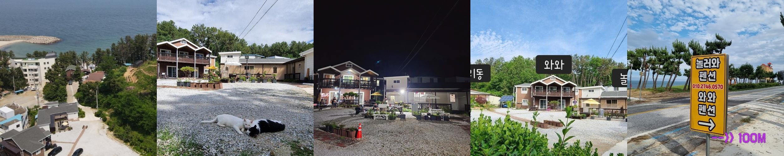 삼척 애견동반 펜션 베스트 추천 리스트 TOP 10