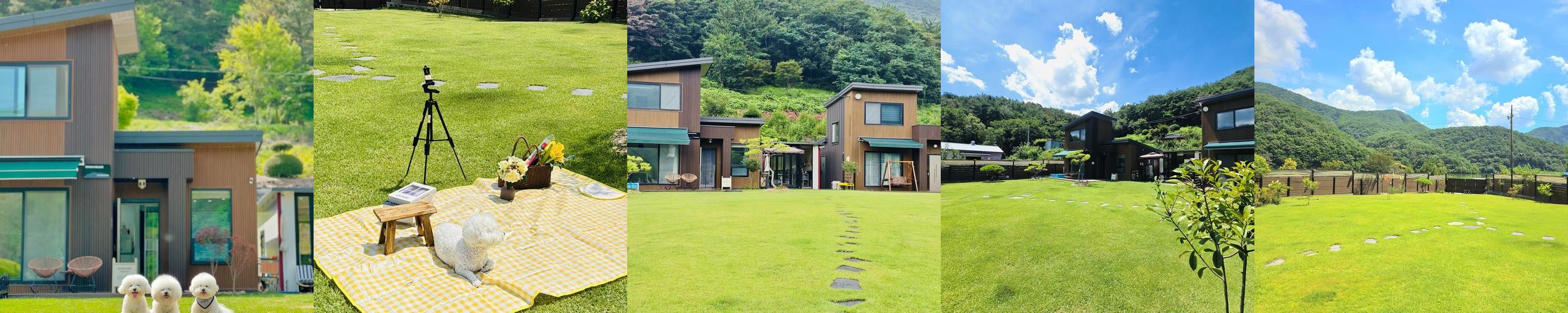 몽썸: 사계절 내내 즐거운 애견 펜션|밀양 애견동반 펜션 추천 몽썸: 사계절 내내 즐거운 애견 펜션