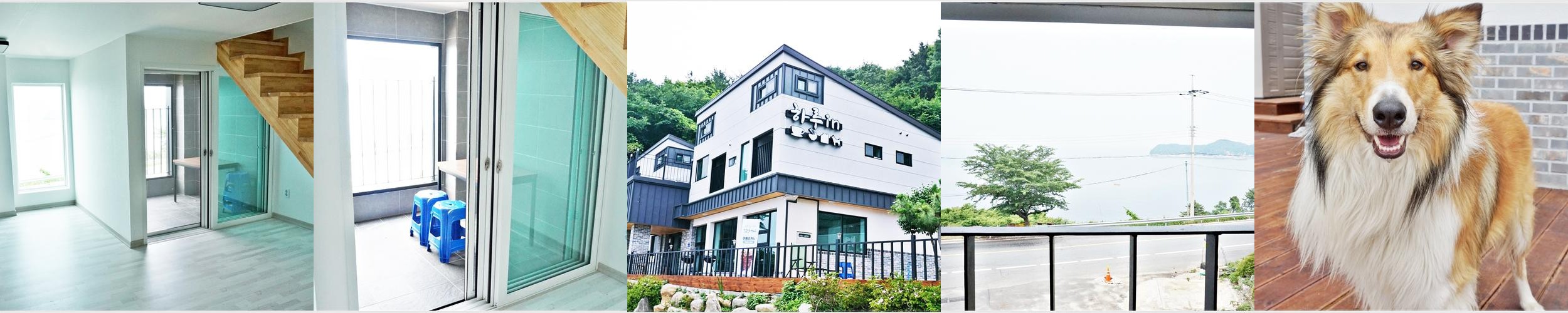 경남 애견동반 숙소 베스트 추천 리스트 TOP 10