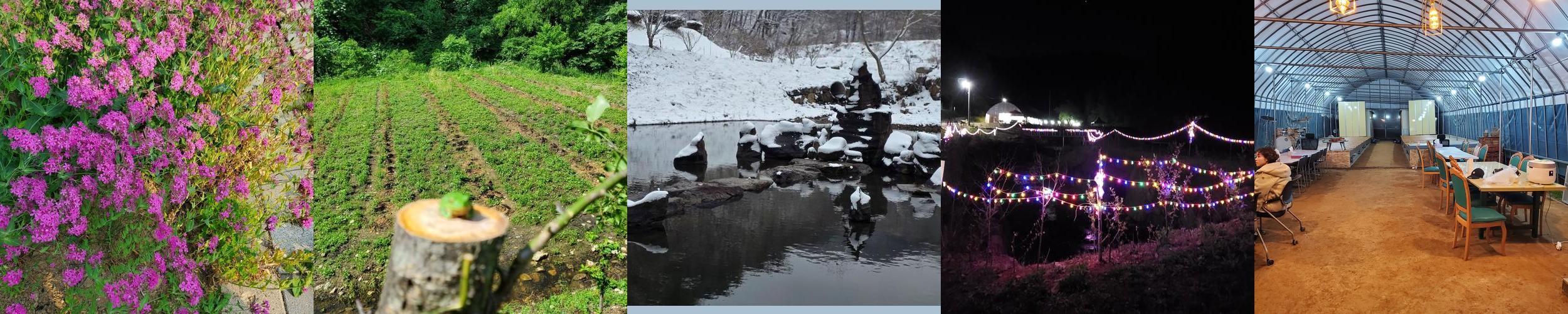 청양 숙소 추천 베스트 리스트 TOP 10