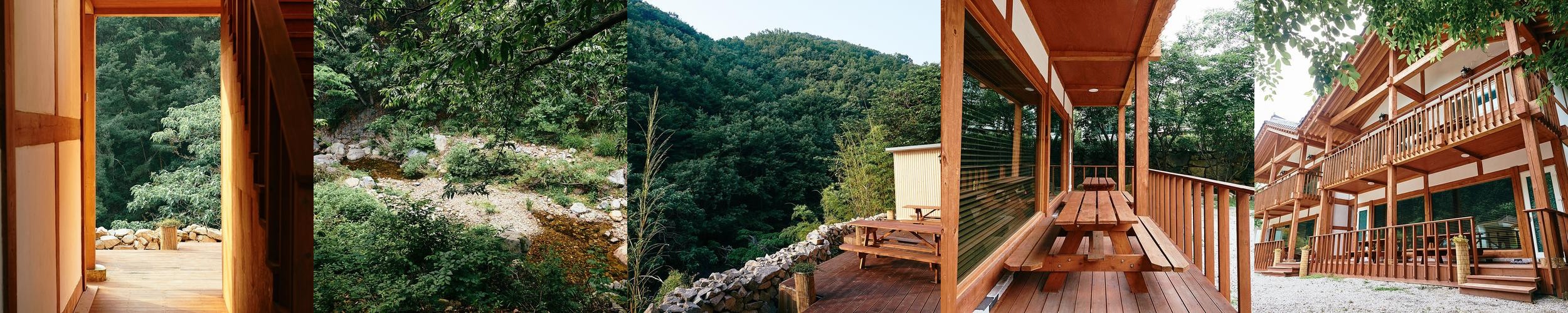 소나무애펜션: 자연 속 편안한 휴식처|기장 단체 펜션 추천 소나무애펜션: 자연 속 편안한 휴식처