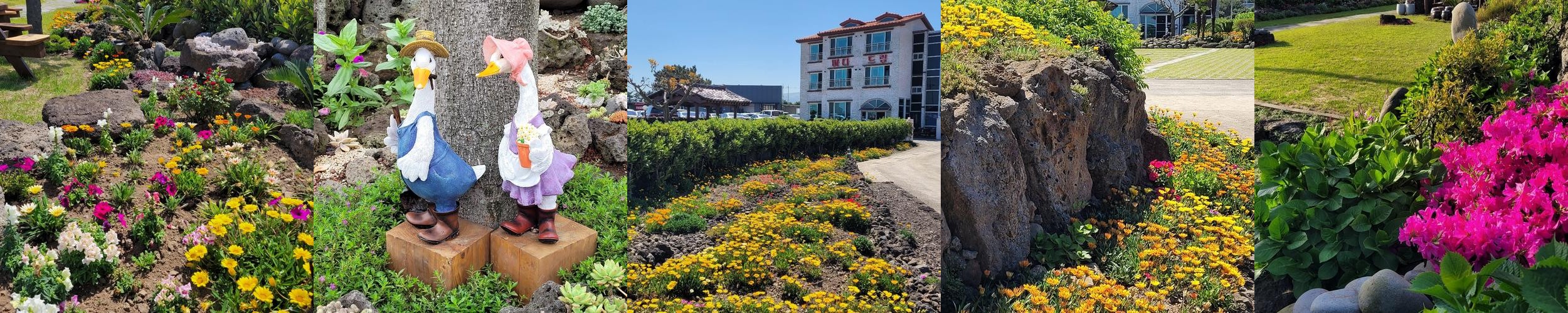 제주 가성비 펜션 베스트 추천 리스트 TOP 10 제주 가성비 펜션 베스트 추천 리스트 TOP 10