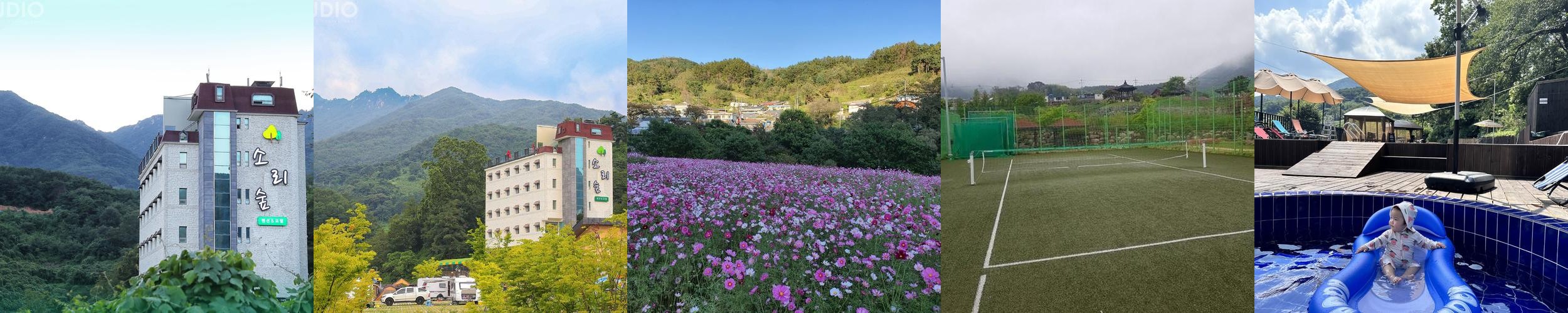 소리숲: 자연과 문화가 만나는 공간|고령 펜션 추천 소리숲: 자연과 문화가 만나는 공간