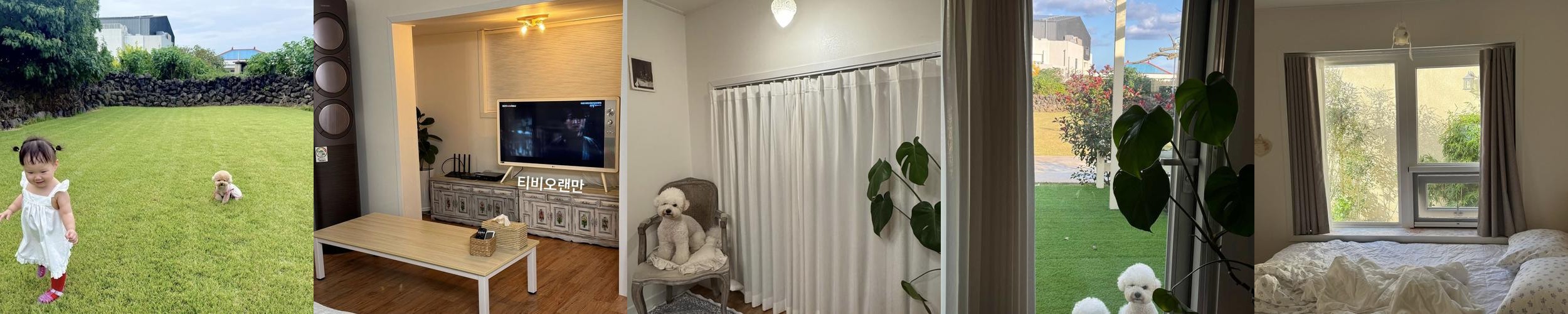 애월 애견동반 숙소 베스트 추천 리스트 TOP 10