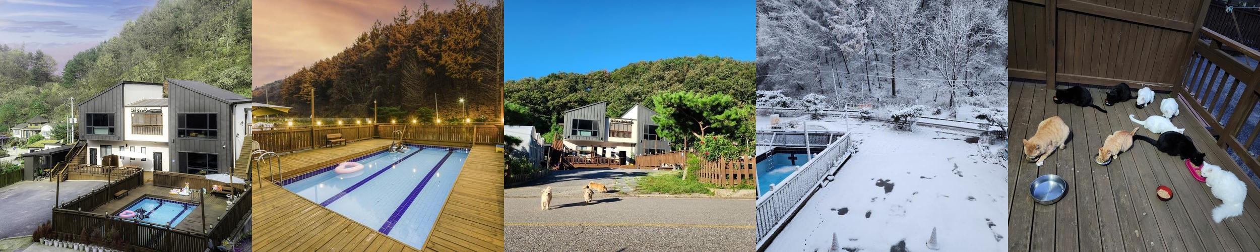 강원도 애견동반 풀빌라 베스트 추천 리스트 TOP 10