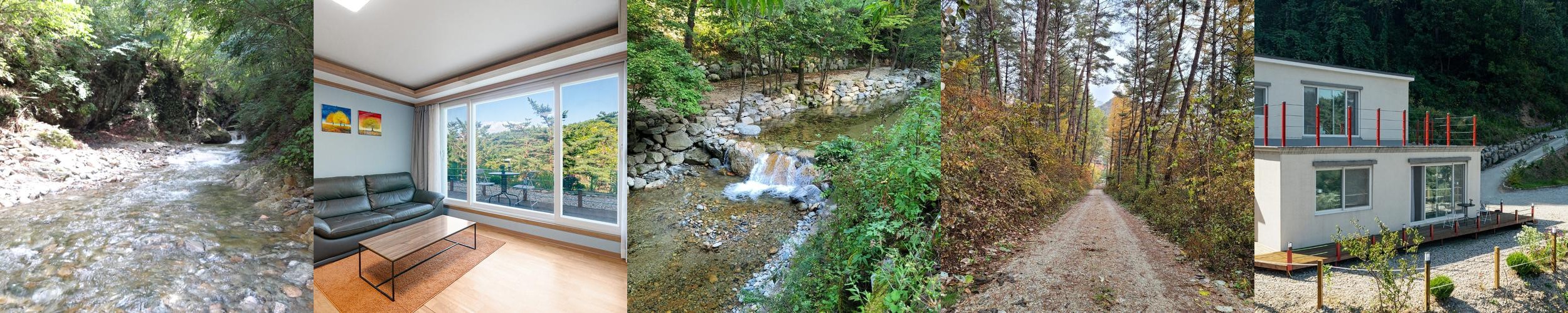 강원도 고성 애견동반 숙소 베스트 추천 리스트 TOP 7
