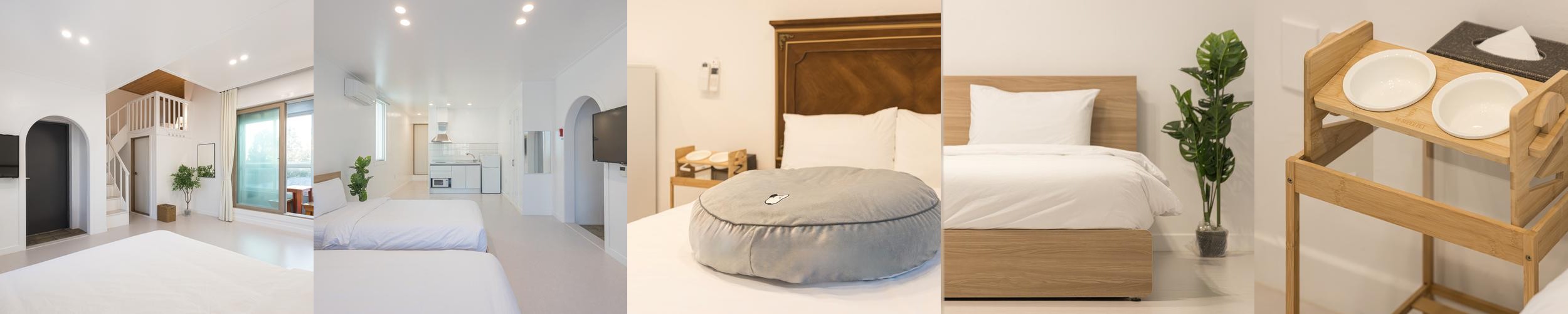 강원도 강릉 펜션 베스트 추천 리스트 TOP 10 강원도 강릉 펜션 베스트 추천 리스트 TOP 10