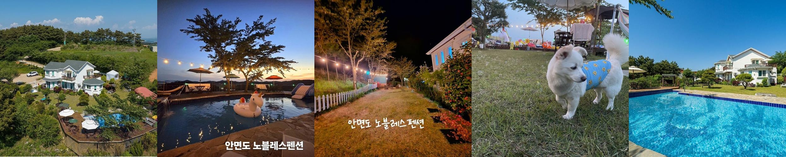 보령 애견동반 숙소 베스트 추천 리스트 TOP 10