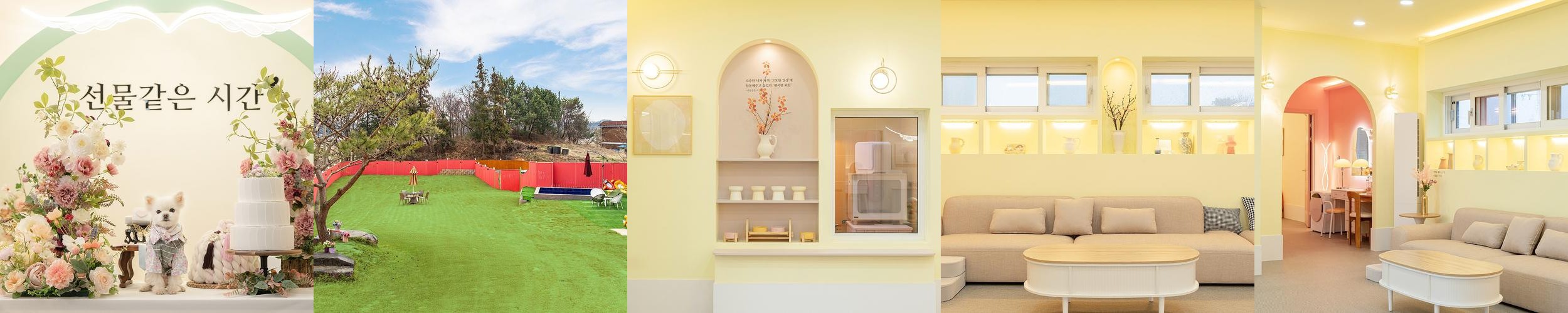 보령 애견동반 숙소 베스트 추천 리스트 TOP 10