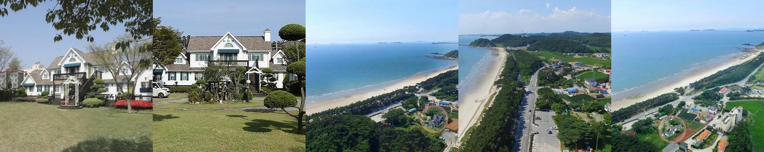 보령 애견동반 숙소 베스트 추천 리스트 TOP 10