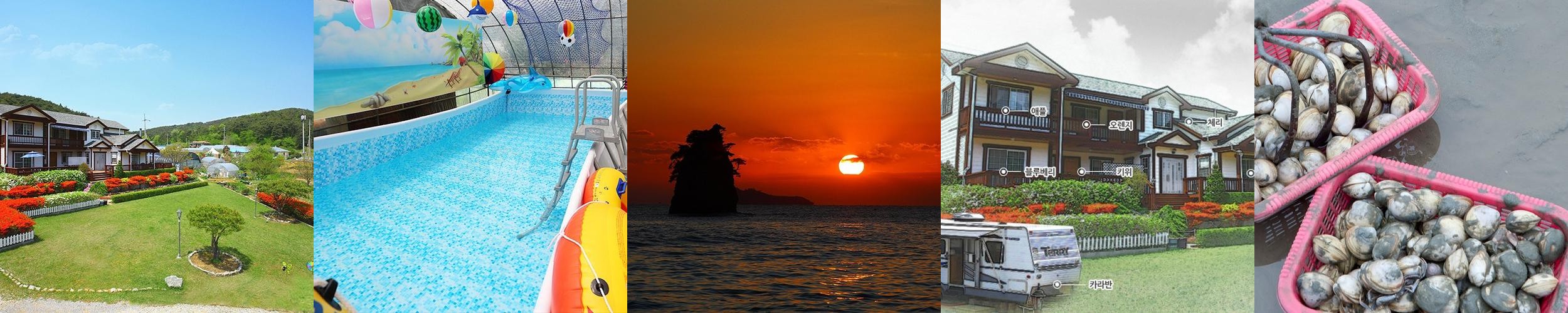 보령 애견동반 숙소 베스트 추천 리스트 TOP 10