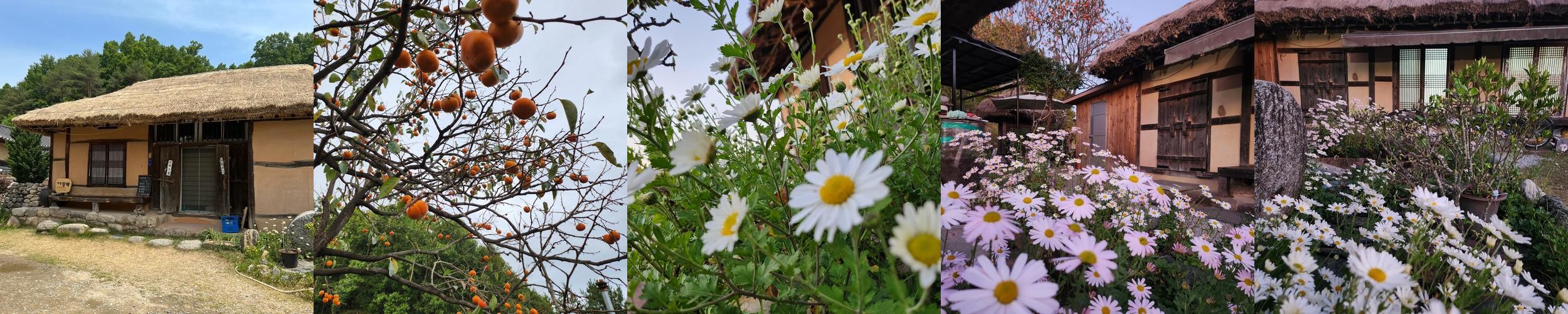 경북 영주 숙소 베스트 추천 리스트 TOP 10