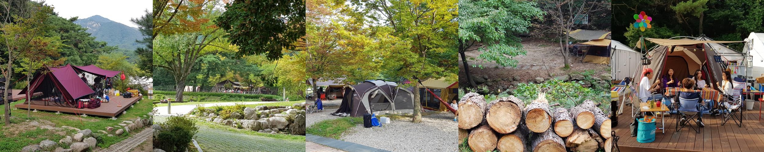 경기도 애견동반 글램핑 베스트 추천 리스트 TOP 10