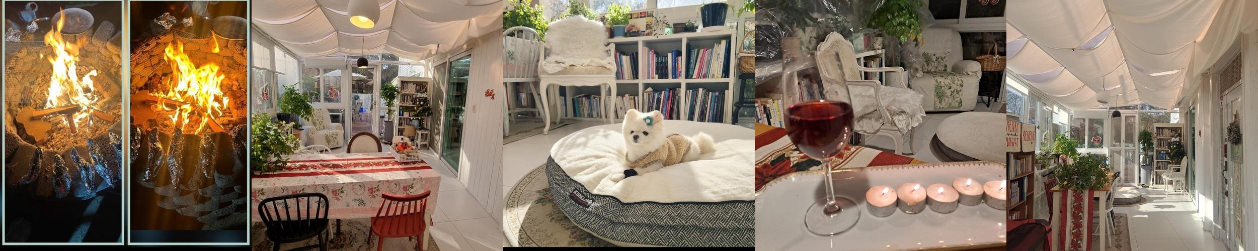 스테이대부: 대부도 애견 동반 독채 펜션