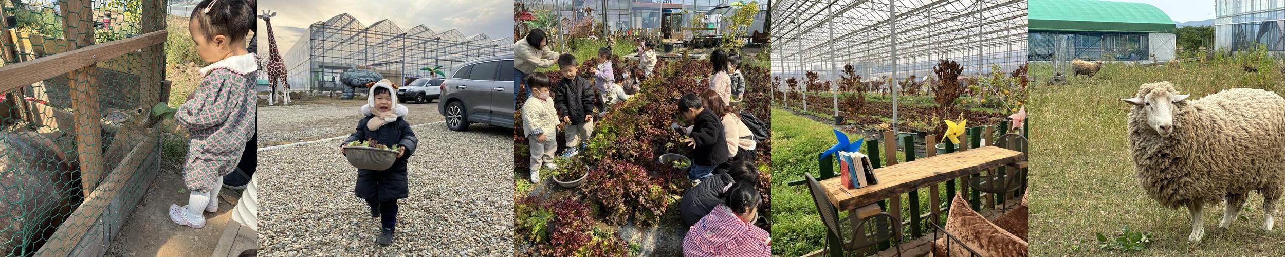 포항 가볼만한곳 베스트 추천 리스트 TOP 10