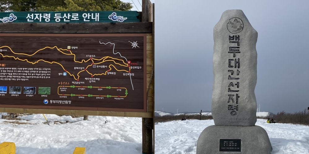 대관령 가볼만한곳 베스트 추천 리스트 TOP 10