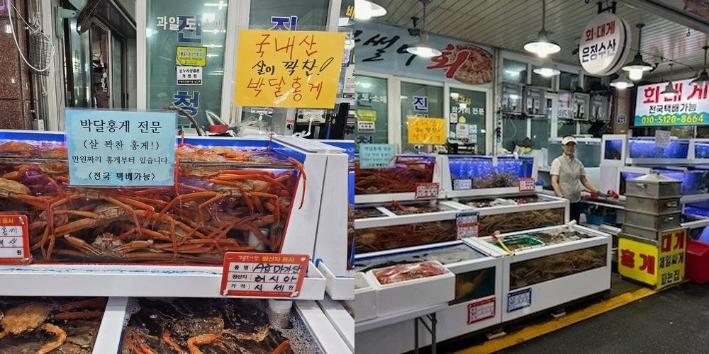 구룡포 가볼만한곳 베스트 추천 리스트 TOP 10
