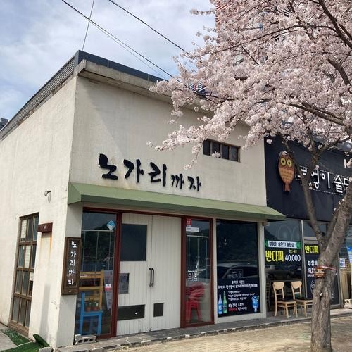 노가리까자: 통영의 매력적인 호프집