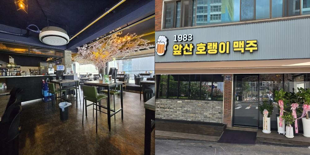 봉덕동 술집 베스트 추천 리스트 TOP 10