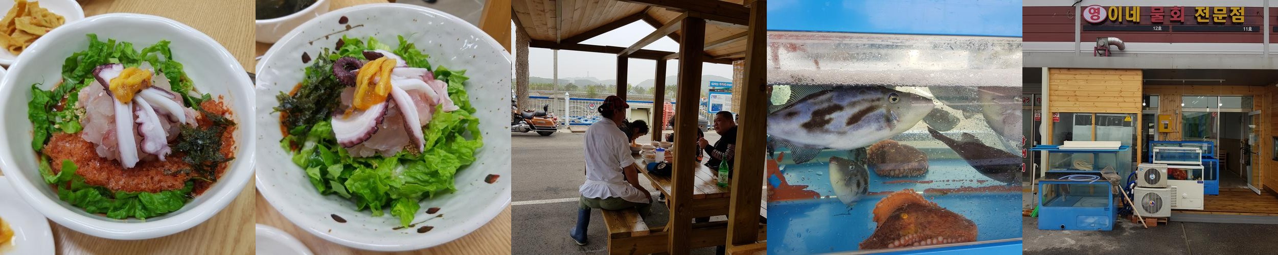 영종도 물회 맛집 베스트 추천 리스트 TOP 10