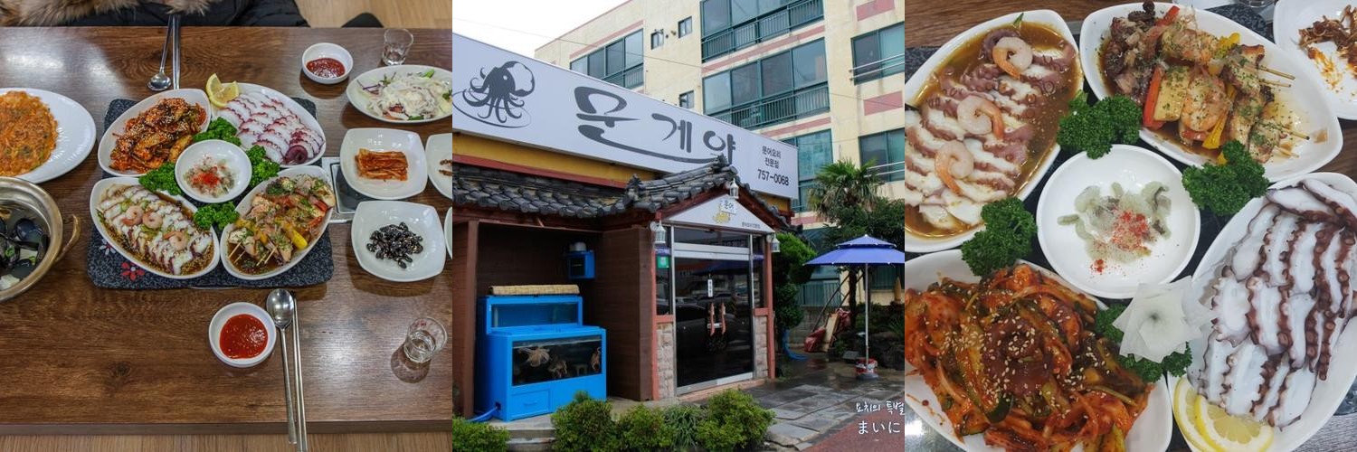 제주 인제 맛집 베스트 추천 리스트 TOP 10