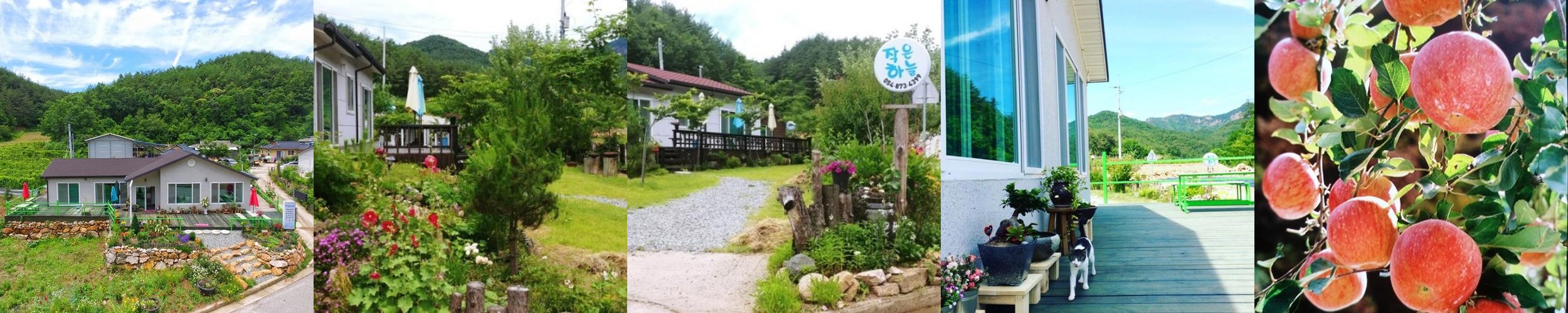 청송 주왕산 맛집 베스트 추천 리스트 TOP 10