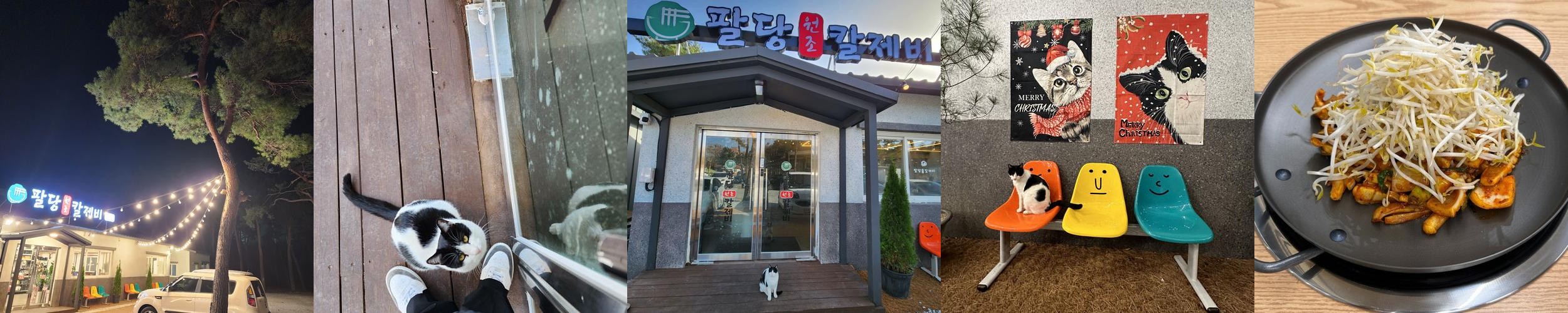 강릉 커피거리 맛집 베스트 추천 리스트 TOP 10