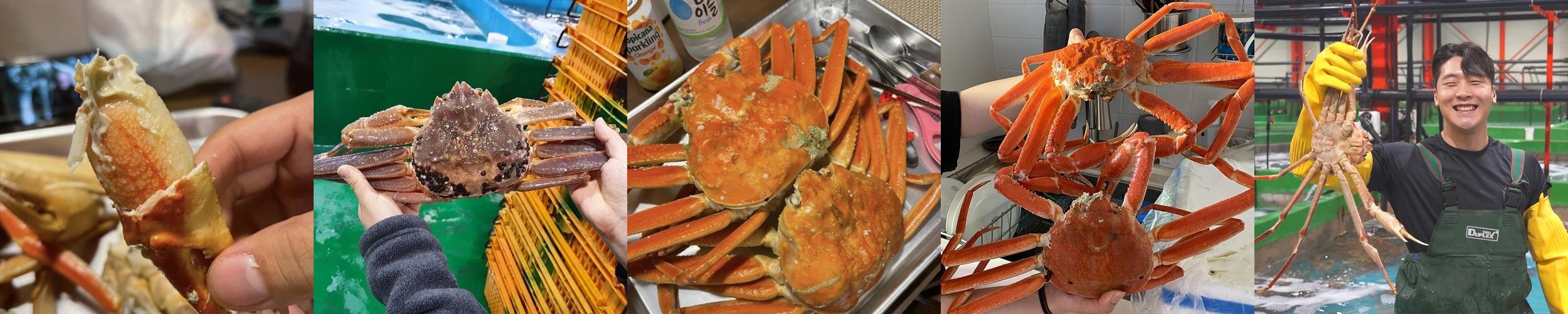 동해역 근처 맛집 베스트 추천 리스트 TOP 10